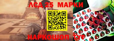 индика Вязники