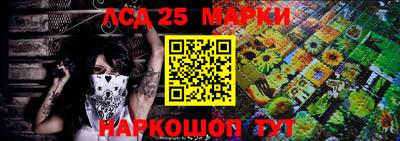 индика Вязники
