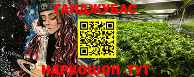 индика Вязники
