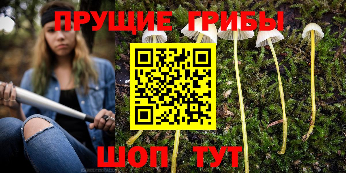 Галлюциногенные грибы мухоморы  Вход с VPN  закладки  Кимовск 