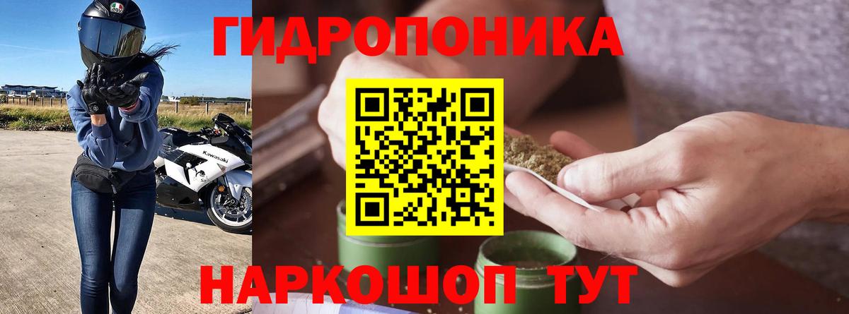 Кимовск  Шишки марихуана марихуана  Бошки марихуана OG Kush  Вход с VPN  Бошки Шишки THC 21% 