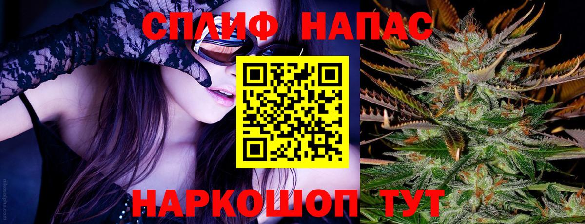 Канабис сатива Кимовск